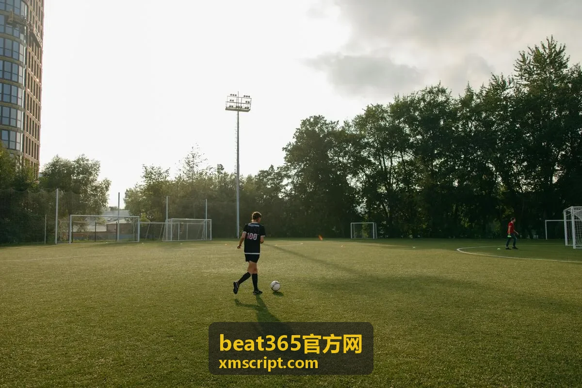 beat365官方网核对当前访问页面地址的方法封面